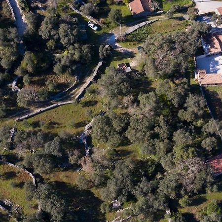 Quinta Dos Canteiros Фатима Экстерьер фото